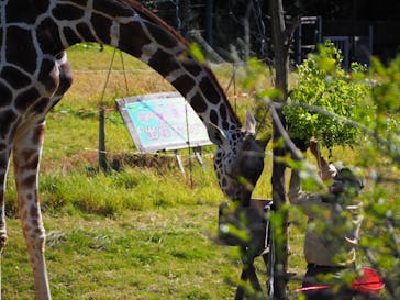 天王寺動物園に投稿された画像（2020/11/3）
