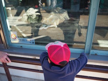 天王寺動物園に投稿された画像（2020/11/3）