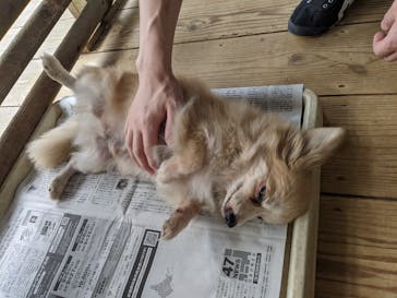 ネオパークオキナワに投稿された画像（2020/11/3）