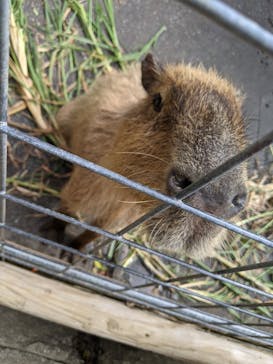 ネオパークオキナワに投稿された画像（2020/11/3）