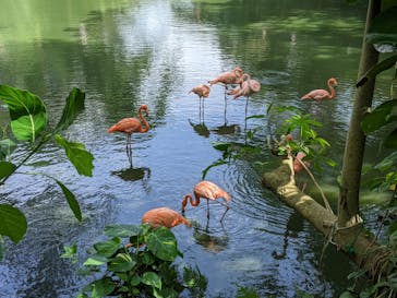 ネオパークオキナワに投稿された画像（2020/11/3）