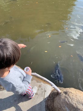 神戸どうぶつ王国に投稿された画像（2020/11/3）