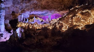 石垣島鍾乳洞に投稿された画像（2020/11/3）