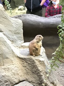 神戸どうぶつ王国に投稿された画像（2020/11/3）