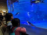 すみだ水族館に投稿された画像（2020/11/3）