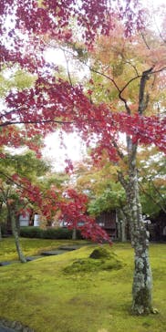 箱根美術館に投稿された画像（2020/11/3）