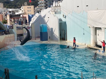 株式会社Gに投稿された画像（2020/11/3）