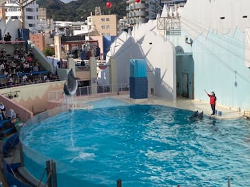 株式会社Gに投稿された画像（2020/11/3）