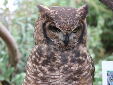 伊豆シャボテン動物公園に投稿された画像（2020/11/3）