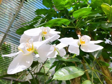 熱川バナナワニ園に投稿された画像（2020/11/3）