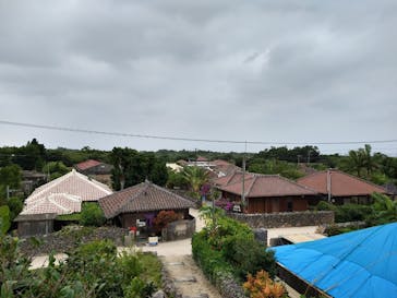 石垣島ドリーム観光に投稿された画像（2020/11/3）