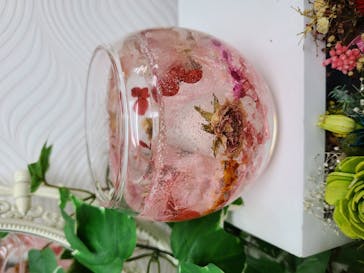 ずこうしつ〜sugamo〜に投稿された画像（2020/11/3）