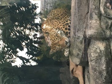 天王寺動物園に投稿された画像（2020/11/3）