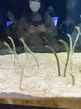 すみだ水族館に投稿された画像（2020/11/3）