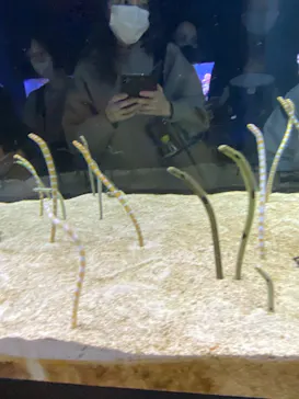 すみだ水族館に投稿された画像（2020/11/3）