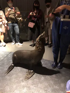 すみだ水族館に投稿された画像（2020/11/3）