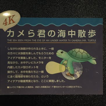 しながわ水族館に投稿された画像（2020/11/3）