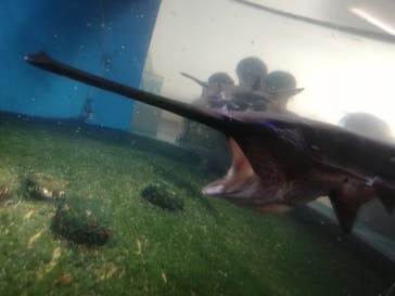 株式会社Gに投稿された画像（2020/11/3）