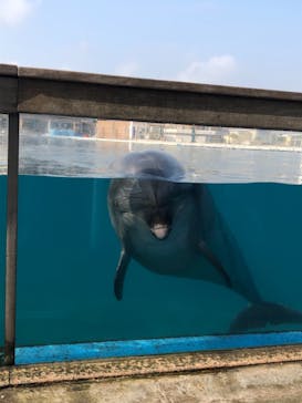 横浜・八景島シーパラダイスに投稿された画像（2020/11/3）