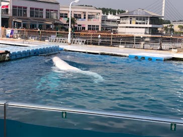 横浜・八景島シーパラダイスに投稿された画像（2020/11/3）