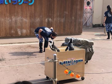 横浜・八景島シーパラダイスに投稿された画像（2020/11/3）