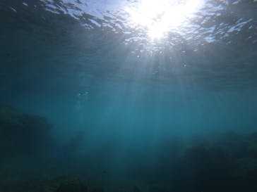 MalDive（モルダイブ）に投稿された画像（2020/11/3）