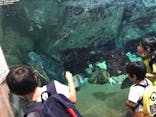 九十九島水族館海きららに投稿された画像（2020/11/3）