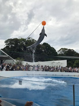 九十九島水族館海きららに投稿された画像（2020/11/3）