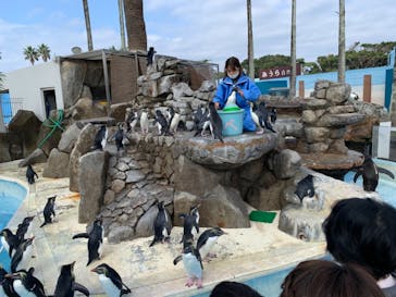 京急油壺マリンパークに投稿された画像（2020/11/3）