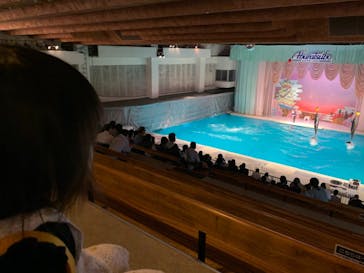 京急油壺マリンパークに投稿された画像（2020/11/3）