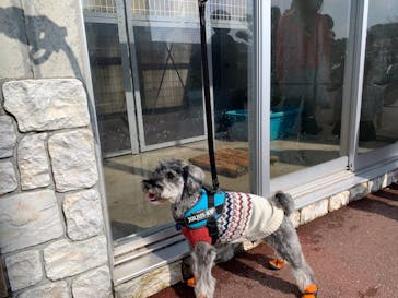 京急油壺マリンパークに投稿された画像（2020/11/3）