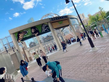 天王寺動物園に投稿された画像（2020/11/3）