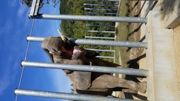 しろとり動物園に投稿された画像（2020/11/3）