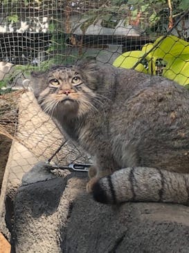 神戸どうぶつ王国に投稿された画像（2020/11/3）