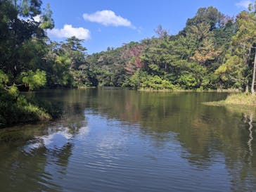 ビオスの丘に投稿された画像（2020/11/3）