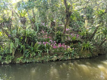 ビオスの丘に投稿された画像（2020/11/3）