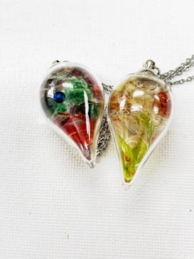 ずこうしつ〜sugamo〜に投稿された画像（2020/11/3）