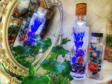 ずこうしつ〜sugamo〜に投稿された画像（2020/11/3）