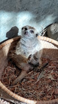 群馬サファリパークに投稿された画像（2020/11/3）