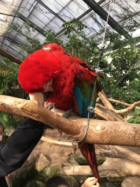 神戸どうぶつ王国に投稿された画像（2020/11/3）