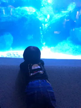 すみだ水族館に投稿された画像（2020/11/3）