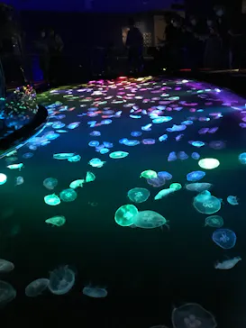 すみだ水族館に投稿された画像（2020/11/3）