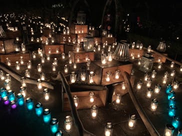 江の島シーキャンドルに投稿された画像（2020/11/3）