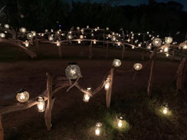 江の島シーキャンドルに投稿された画像（2020/11/3）