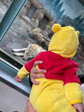 天王寺動物園に投稿された画像（2020/11/3）