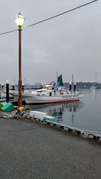 釣り船 進丸に投稿された画像（2020/11/3）