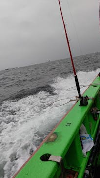 釣り船 進丸に投稿された画像（2020/11/3）