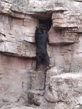 天王寺動物園に投稿された画像（2020/11/3）