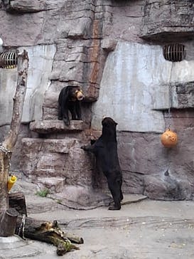 天王寺動物園に投稿された画像（2020/11/3）