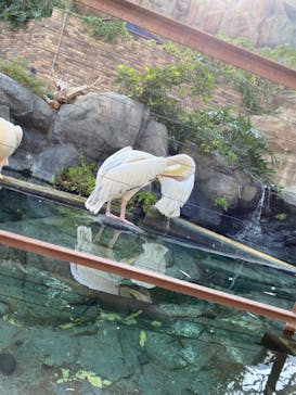 横浜・八景島シーパラダイスに投稿された画像（2020/11/3）